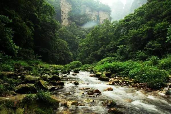 探索未知,尽在986-125-135-40简便计算?问答交流平台